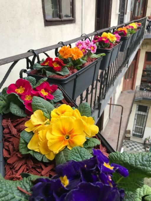 Perfect Location,Newly Decorated Modern, Large Place 60 M2, Really Quiet So You Can Have A Good Night Sleep, Ac, Netflix, Smart Tv, High-Speed Internet, World Famous New York Cafe Only 10 Minutes Walk Budapest Bagian luar foto